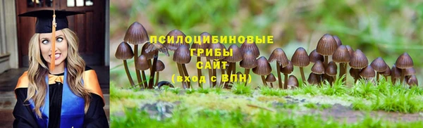 кокаин премиум Медногорск