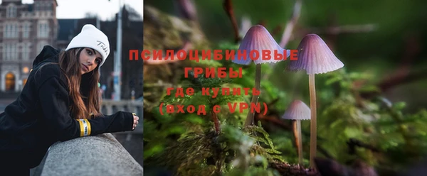 тгк Переславль-Залесский