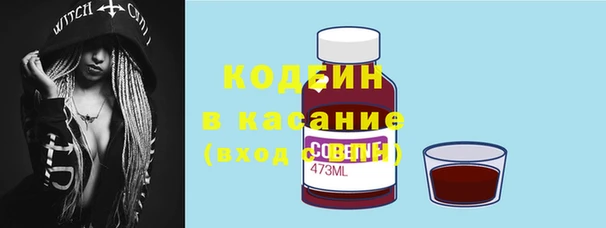 ГАЛЛЮЦИНОГЕННЫЕ ГРИБЫ Пересвет