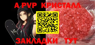 крисы Коммунар
