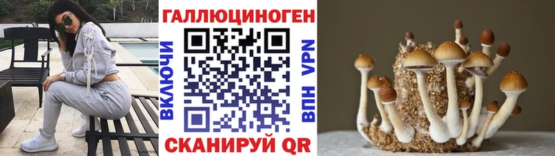Псилоцибиновые грибы ЛСД  наркошоп  blacksprut ССЫЛКА  площадка формула  Георгиевск 