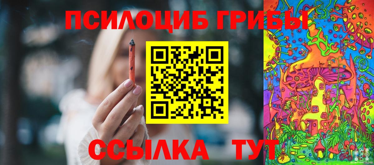 Псилоцибиновые грибы мухоморы Георгиевск