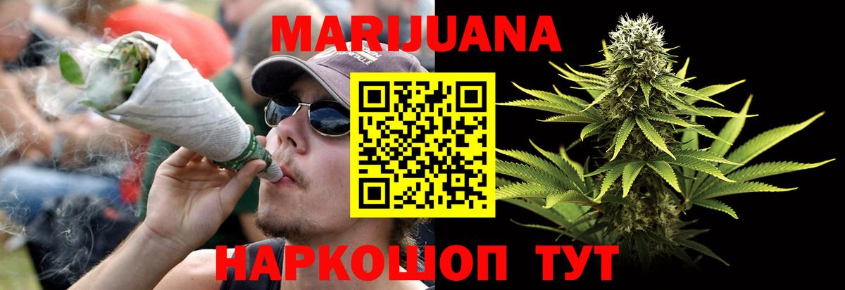 Каннабис план Георгиевск